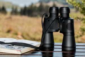 Binocular Articles