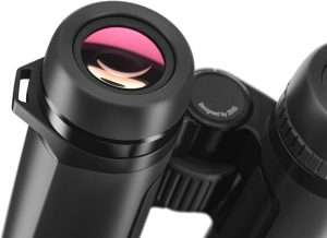Zeiss SFL 8x40 Lens